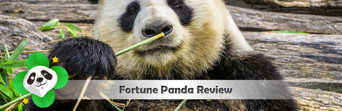 Fortune Panda Casino Review header