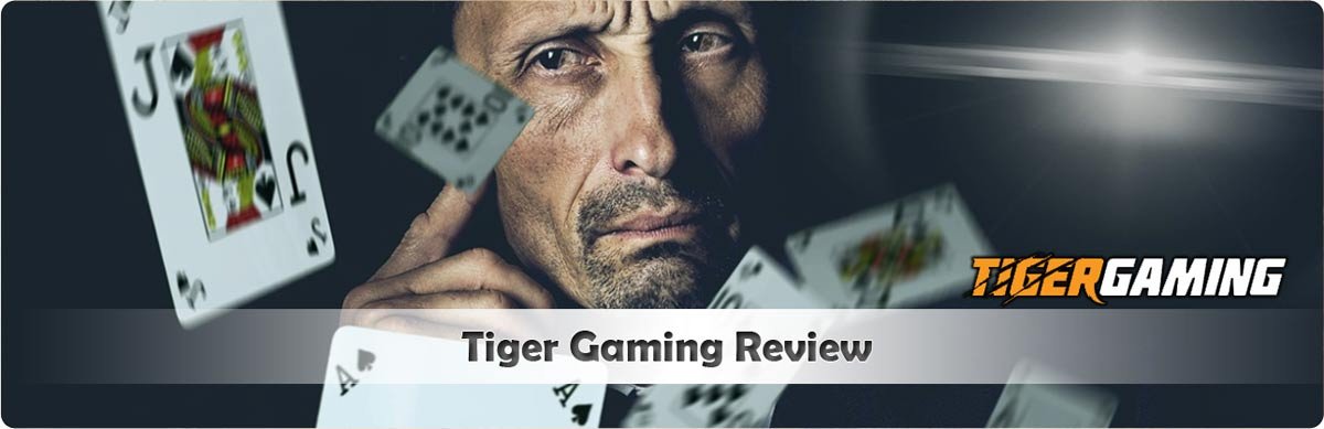 Tiger Gaming Review header